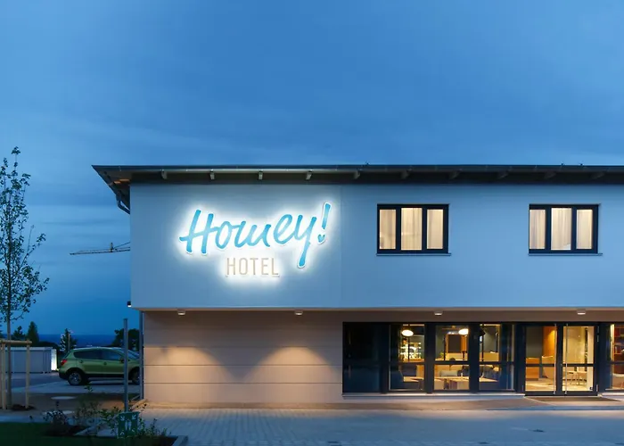 Homey! Hotel 3*